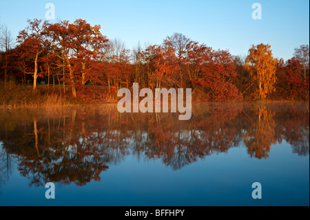 Herbststimmung am Wörthsee, Oberbayern, Deutschland Stockfoto