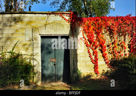 Paris, Frankreich - Detail, Friedhof „Pere Lachaise“, verschlossene Tür an der Gartenmauer im Herbst, Nahaufnahme frankreich paris farbige Blätter Stockfoto