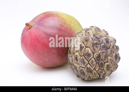 Gemischte exotischen Früchten, Mango und Zucker Apfel auf weißen Hintergrund isoliert. Stockfoto