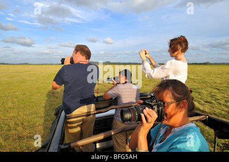 Minneriya National Wildlife Park, Sri Lanka, Safari im Minneriya National Wildlife Park, Sri Lanka Stockfoto