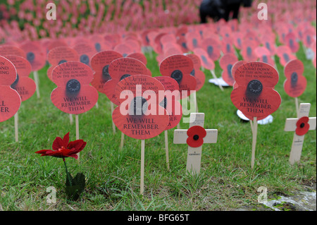 Tausende von Papier Mohn am Volkstrauertag Ypern rief jetzt Aussätzigen in Flandern Belgien Stockfoto