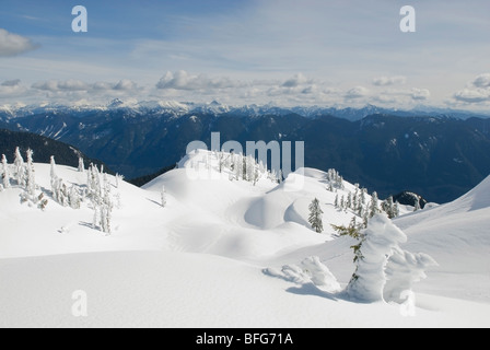 Die Aussicht, Blick nach Osten vom ersten Pumpe Peak auf Mt Seymour Mt Seymour Provincial Park Vancouver BC Kanada Stockfoto