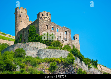 Historisches Schloss Burg Ehrenfels, umgeben von Weinbergen in der Nähe von Rüdesheim, Assmannshausen, Rhein Stockfoto