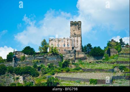 Historisches Schloss Burg Gutenfels bei Kaub, Bingen, Rhein Stockfoto