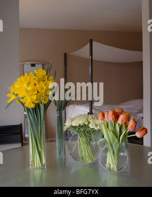 Glasvasen von Narzissen und Tulpen auf Tisch im Vordergrund des modernen Schlafzimmer Stockfoto