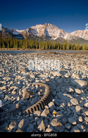 Papierkorb links am Ufer des Athabasca River mit Mount Fryatt in der Ferne, Jasper Nationalpark, Alberta, Kanada. Stockfoto