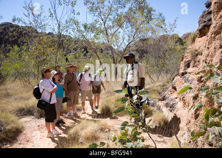 Jimmy Coombes, indigenen Tour Giude im Bereich Bungle Bungle der Purnululu National Park Western Australia Stockfoto