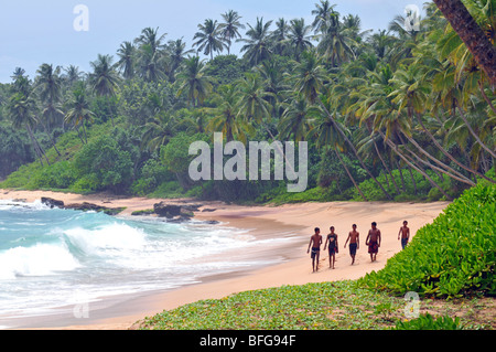 Strand am Hotel Amanwella, Tongalle, Sri Lanka Stockfoto