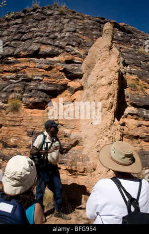 Jimmy Coombes, indigenen Tour Giude im Bereich Bungle Bungle der Purnululu National Park Western Australia Stockfoto