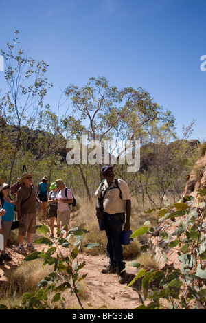 Jimmy Coombes, indigenen Tour Giude im Bereich Bungle Bungle der Purnululu National Park Western Australia Stockfoto