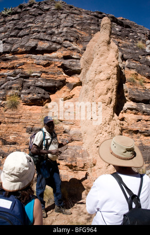 Jimmy Coombes, indigenen Tour Giude im Bereich Bungle Bungle der Purnululu National Park Western Australia Stockfoto