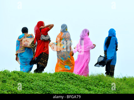 Sri Lanka Frauen anziehend in traditionellen Saris, fünf Frauen in Saris Spaziergang zusammen in Sri Lanka gekleidet Stockfoto