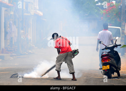 Moskito-Spritzen-Kontrolle, bekannt als fogging, geräuchert Kanalisation in Sri Lanka, Steuerung von Mücken, Mückenbekämpfung Stockfoto