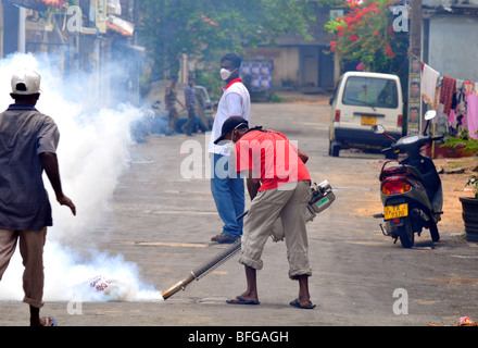 Fogging, geräuchert Kanalisation in Sri Lanka, controlling, Mücken, Mückenbekämpfung, Spritzen Mückenbekämpfung Stockfoto