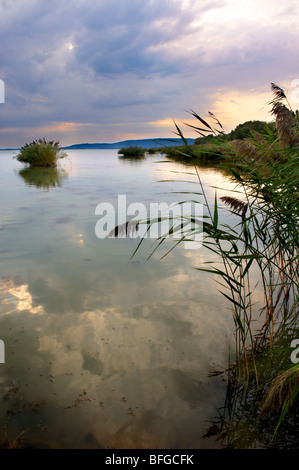 Lake Balton - Szigiglet, Plattensee, Ungarn Stockfoto