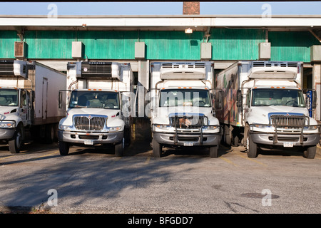 Linie von weißen Kühlwagen geparkt an Laderampen an einem sonnigen Sonntag in Red Hook Brooklyn New York Stockfoto