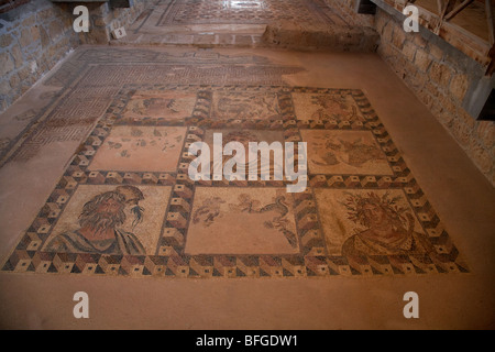 Mosaik auf dem Boden des Hauses Dionysos römischen Villa bei Paphos archäologische Park Republik Zypern Europa Stockfoto