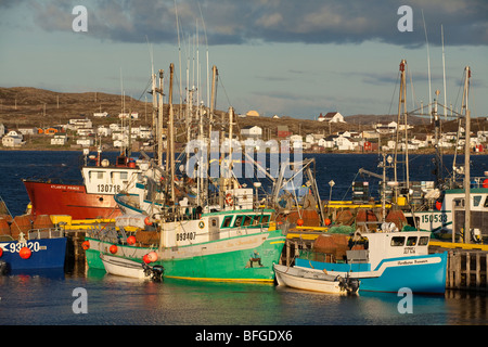 Krabbe Fischerboote, Joe Batts Arm, Fogo Island, Newfoundlad & Labrador, Kanada Stockfoto