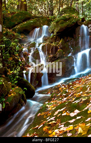 Fern Grotto Wasserfall von der alten Straße des Nahen Zinke Trail, Great Smoky Nationalpark, Tennessee Stockfoto