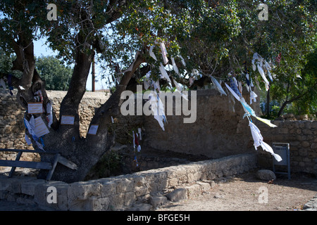 Angebote von Heilung Pistazienbaum bei Agia Solomoni christliche Katakombe Paphos Republik Zypern Europa hängen Stockfoto