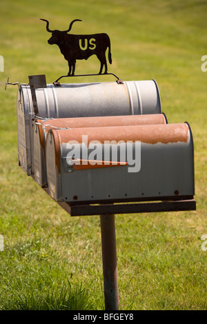 Amerikanischen US-Briefkasten eingerichtet mit Rindern Silhouette in Nebraska USA Stockfoto