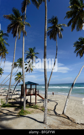 Blick auf Playa El Aqua, Isla Margarita, Venezuela Nueva Esparta Stockfoto