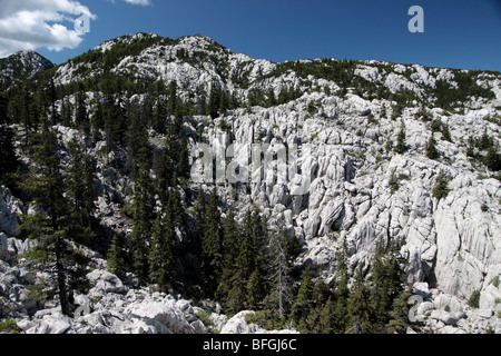 Ganztagesausflug Velebit Nationalpark Stockfoto