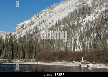 Grizzly Bär (Ursus Arctos) Sau und Cub Fishing Branch River entlang, im frühen Winter. Ni'iinlii'Njik Park-Yukon-Territorium Stockfoto