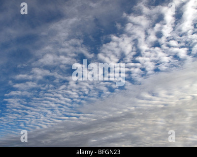 Woge Altocumulus-Wolken am blauen Himmel. Stockfoto