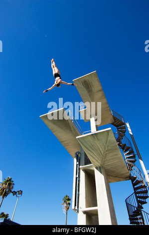 Schwimmer Tauchen vom Sprungbrett Stockfoto