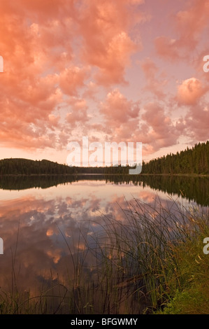 Sonnenaufgang am Barsch See. Duck Mountain Provincial Park, Manitoba, Kanada Stockfoto