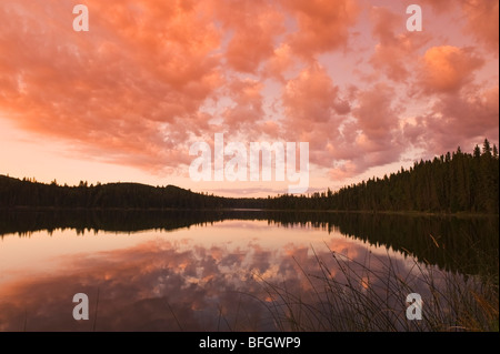 Sonnenaufgang am Barsch See. Duck Mountain Provincial Park, Manitoba, Kanada Stockfoto