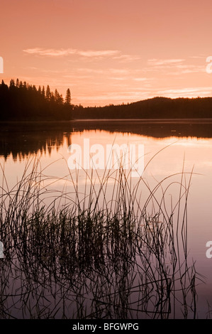 Sonnenaufgang am Barsch See. Duck Mountain Provincial Park, Manitoba, Kanada Stockfoto