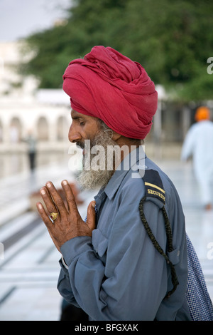 Sikh Wächter beten. Der Goldene Tempel. Amritsar. Indien Stockfoto