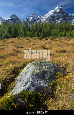 Wenkchemna Gipfeln, Lärche Talweg, Banff Nationalpark, Alberta, Kanada Stockfoto