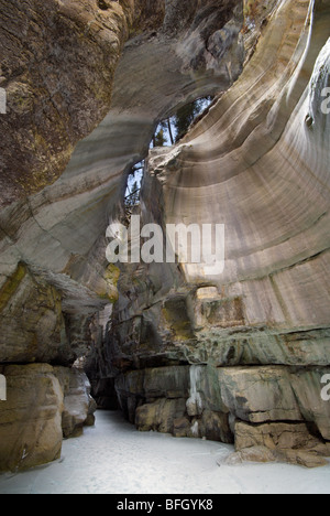 Maligne Canyon, Jasper National Park, Alberta, Kanada Stockfoto