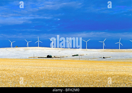 Windkraftanlagen, Pincher Creek, Alberta, Kanada Stockfoto