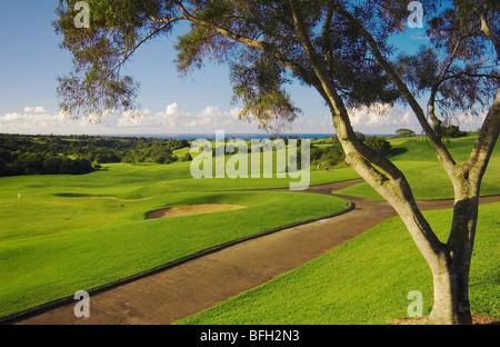 Princeville Resort Golf Course: The Prince Course, entworfen von Robert Trent Jones, Jr..; Kauai, Hawaii. Stockfoto