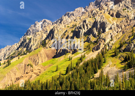 Elbow Pass, Peter Lougheed Provincial Park, Alberta, Kanada Stockfoto