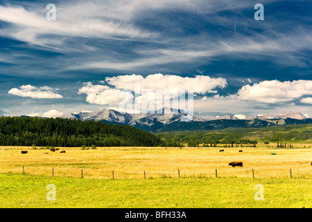 Longview, Alberta, Kanada Stockfoto