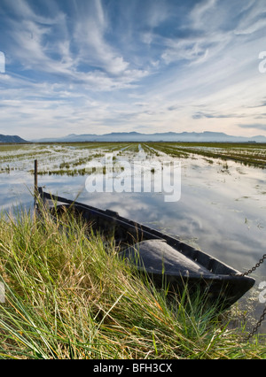 Landschaft in einer überfluteten Reisfeld mit einem traditionellen hölzernen Fischerboot im Vordergrund und einige Berge auf der Rückseite genommen Stockfoto