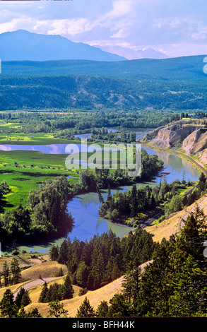 Columbia River in der Nähe von Radium Hot Springs, Britisch-Kolumbien, Kanada Stockfoto