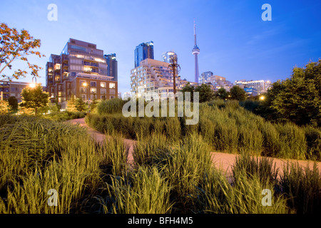 Blick auf Skyline von Toronto aus der Musik Garten, Harbourfront, Toronto, Ontario, Kanada Stockfoto