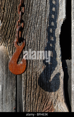 Verrostete Haken an Kette. Stockfoto