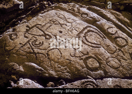 Uralte hawaiianische Petroglyphen am Anaehoomalu; Waikoloa Beach Resort, Kohala Küste, Insel von Hawaii. #1448-6717C Stockfoto