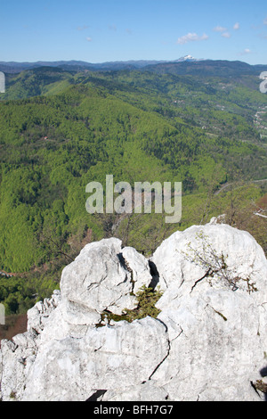 Dinarischen Wald im slowenisch-kroatischen Grenze Stockfoto