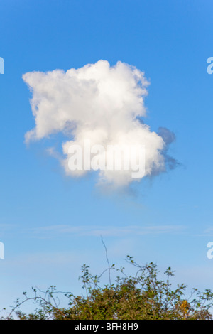 Cumulus-Wolke Stockfoto