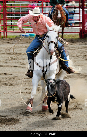 Cowboy-Kalb roping im Luxton Pro Rodeo in Victoria, BC. Stockfoto