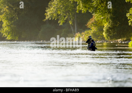 Flyfishermen in Campbell River, Fischen die Pools unterhalb Elk Fälle.  Campbell River, Vancouver Island, British Columbia, Kanada. Stockfoto