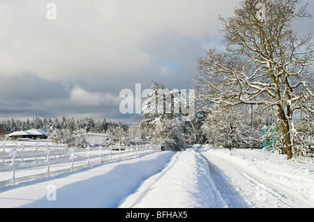 Tiefster Winterschnee bedeckt diese Landstraße in Central Saanich, in der Nähe von Victoria BC. Stockfoto